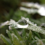 iPhone 4S photo with Olloclip Macro Lens